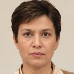 annita linsen annita linsen